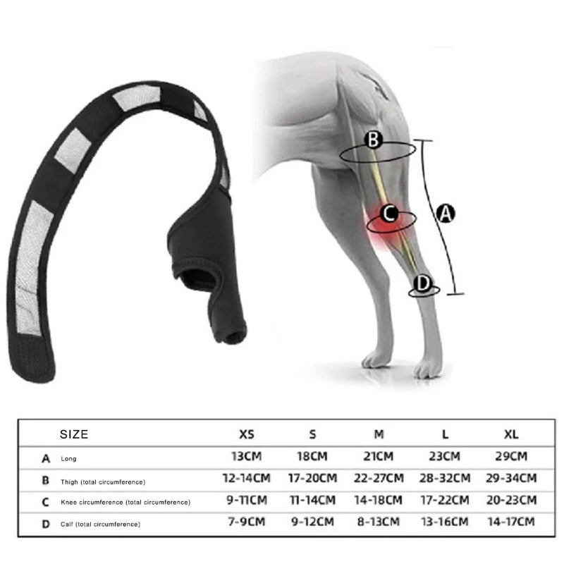 BetterNow™ Dog Leg Brace for Faster Recovery & Pain Relief