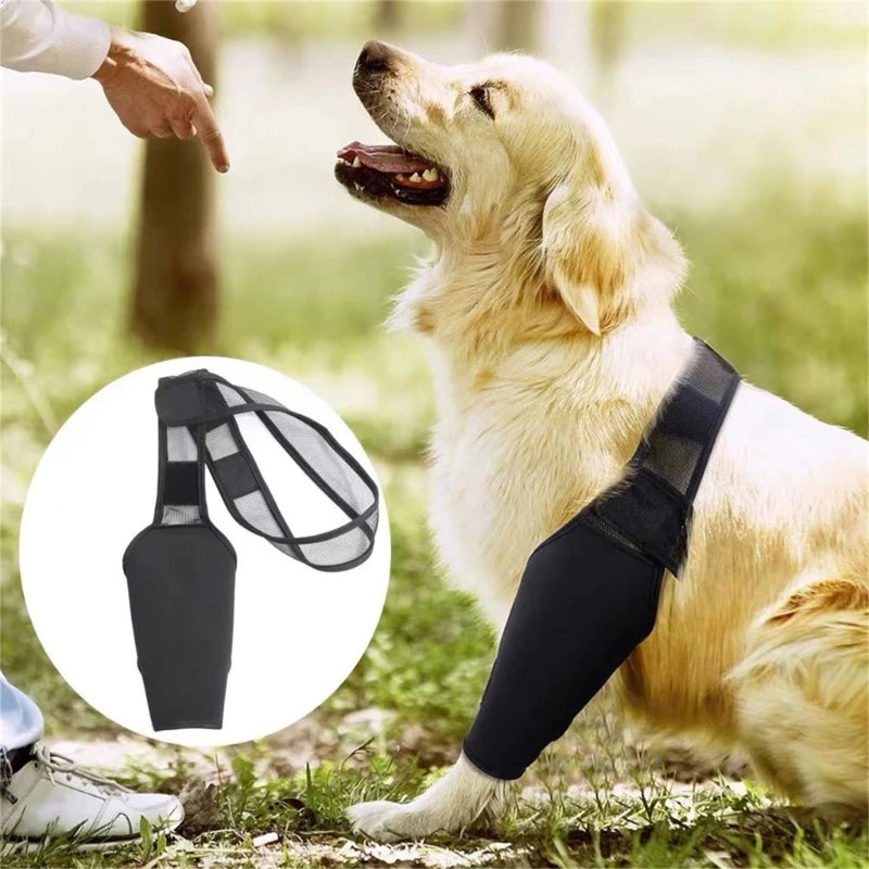 BetterNow™ Dog Leg Brace for Faster Recovery & Pain Relief